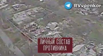 «тважные» штурмуют окружённый Мирноград и наступают в Днепропетровской области