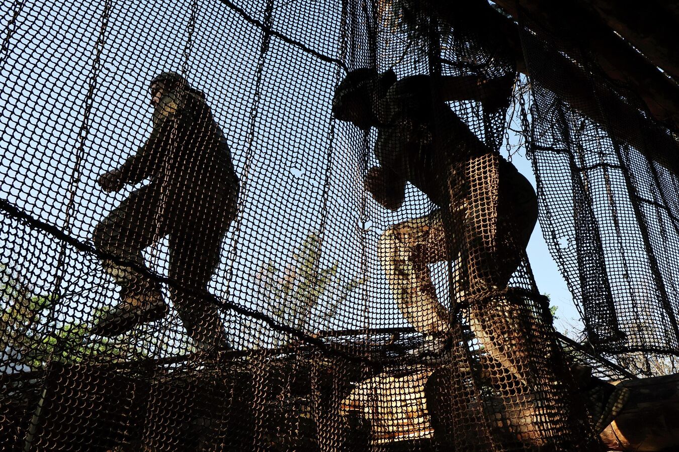 Беженка из Торского рассказала об иностранных наемниках в рядах ВСУ