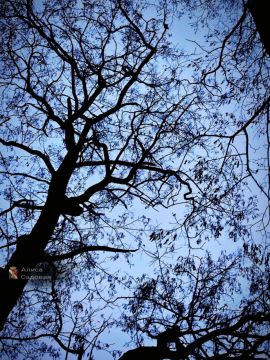 Продуктивного понедельника!