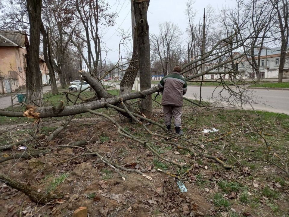 � ��������� ��������� ����������� ���������� �����