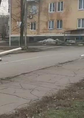 Дерево рухнуло на провода в Пролетарском районе Донецка