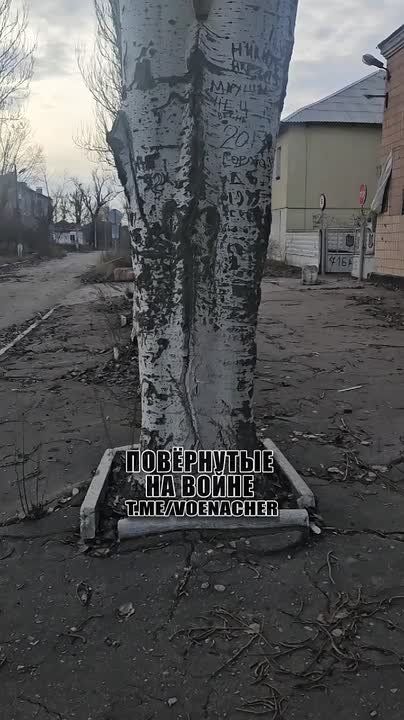 �� ������ ���� ����� �������� ����� �� ������ ����������� ���