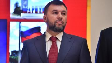 Пушилин: Российские войска сконцентрировались на освобождении Димитрова