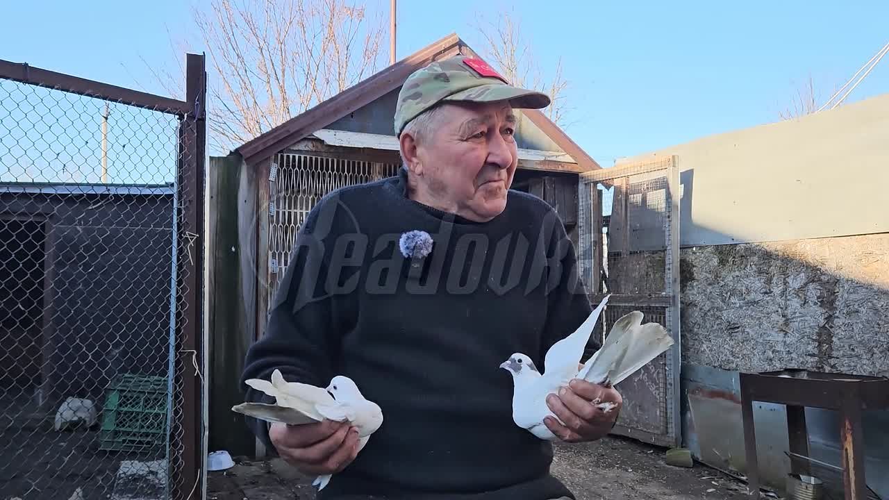 «Буду сам голодный, а голубей накормлю» — донбасский дедушка не предал любовь к птицам даже под обстрелами