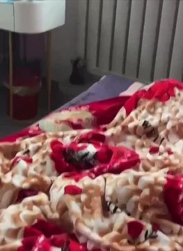 Неделя только началась, а состояние уже такое: