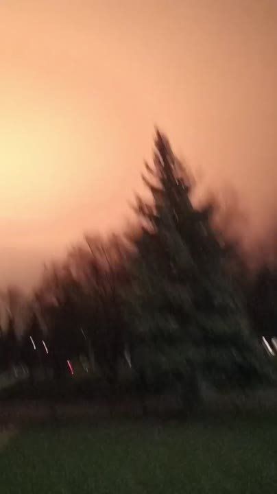 ����������. �������� ����������� �������