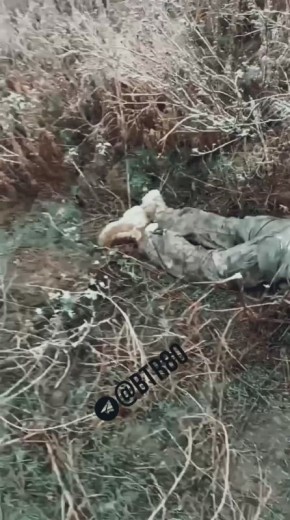 Любимая рубрика: "Попрыгал - отдохни!"