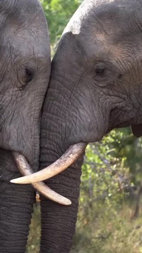 Спокойной ночи, Мариуполь!