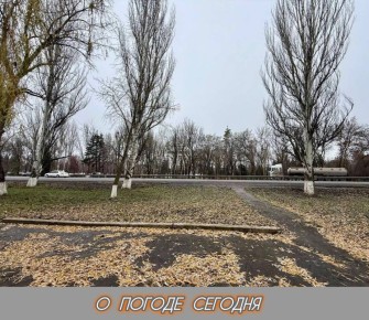 Александр Шатов: 9 декабря в Республике облачно, ожидается дождь со снегом, порывы ветра до 12 метров в секунду