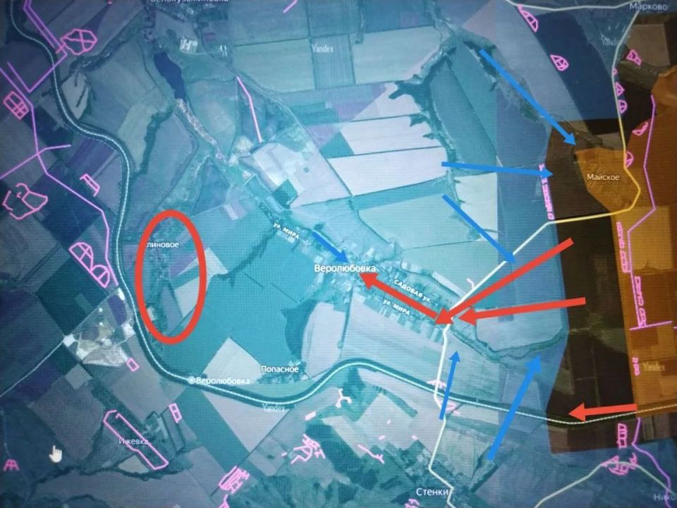 ���� �������: ���������������� �����������