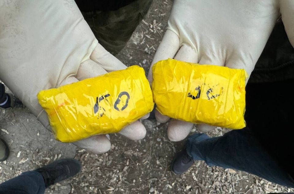 �������� � ������������: � ��� ��������� ���� ����������������� �����������