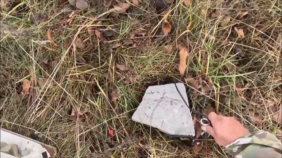 ������ �����: ������� ����� ����������� ������, ����������� � ������� ����������� ����� ������, ���������� ����������� ��������� ������������� � ���� ���������� ��� �� ���������� ���