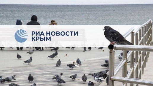 Крушение Ан-22 и атака ВСУ на Чувашию - главное за день