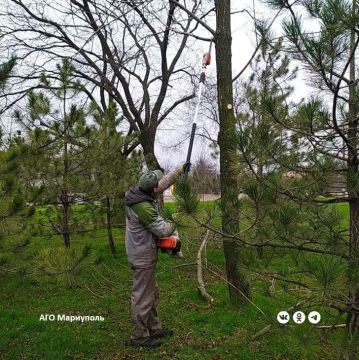 В Мариуполе рабочие зеленого строительства продолжают благоустройство общественных пространств