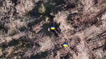 Расчёты БпЛА бригады "Урал" ведут работу по позициям 32 омбр ВСУ, срывая попытку проведения ротации противника на Покровском направлении