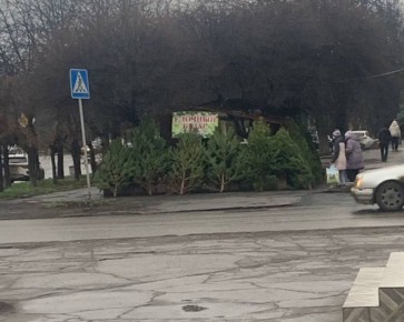 В ДНР стали открываться елочные базары