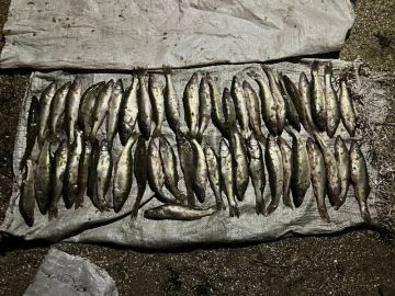 В Новоазовске полицейские пресекли факт незаконного вылова рыбы