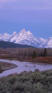 Спокойной ночи, Мариуполь!