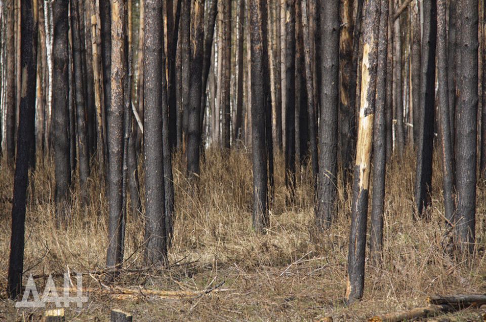 ����� �� �������� ���. ������� ���� ���� �� ������������������, �������� �� ���