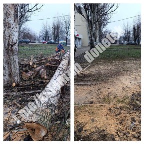 Сегодня сотрудники коммунального предприятия «Зелёное строительство» убрали и вывезли опавшую листву, ветки, также выполнили валку и распил деревьев