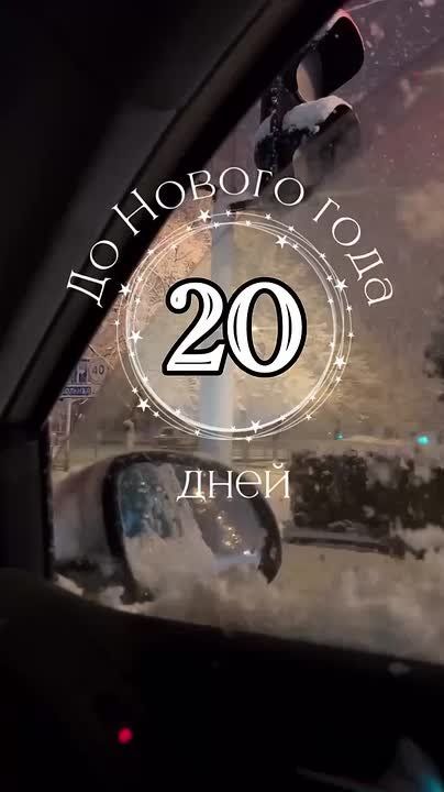 #������������