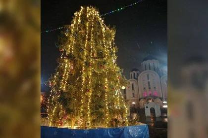 Новогодняя ель из Великого Устюга прибыла в Макеевку