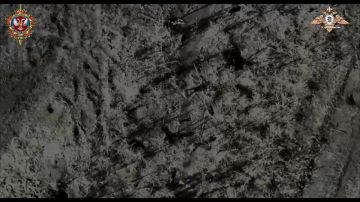 Каждый боевик ВСУ получил по осколку от сбросов с БЛА ооСпН "Охотник"