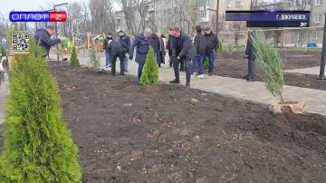 Семейный сквер — новый эпицентр жизни города