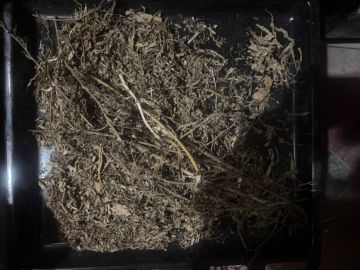 Полицейские выявили факт незаконного хранения наркотиков