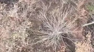 Миномётный расчёт нацистов уничтожен!