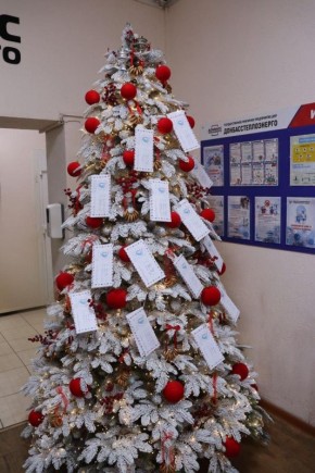 ГУП ДНР «ДОНБАССТЕПЛОЭНЕРГО» ПРИСОЕДИНИЛОСЬ К АКЦИИ «ЕЛКА ЖЕЛАНИЙ»