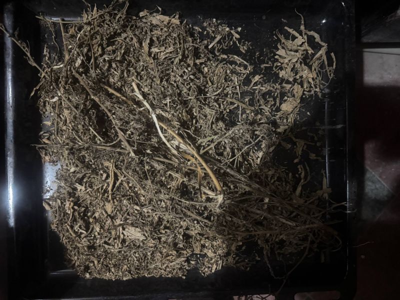 ����������� ������� ���� ����������� �������� ����������