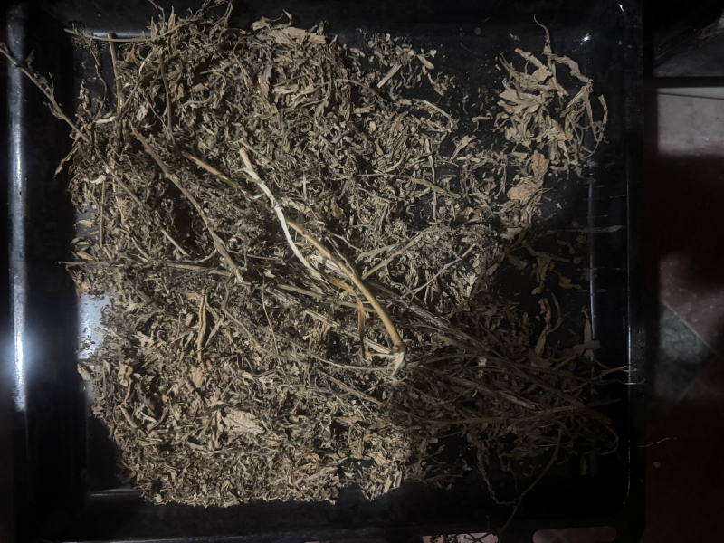 Полицейские выявили факт незаконного хранения наркотиков