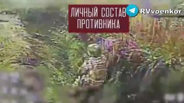 «тважные» штурмуют окружённый Мирноград и наступают в Днепропетровской области