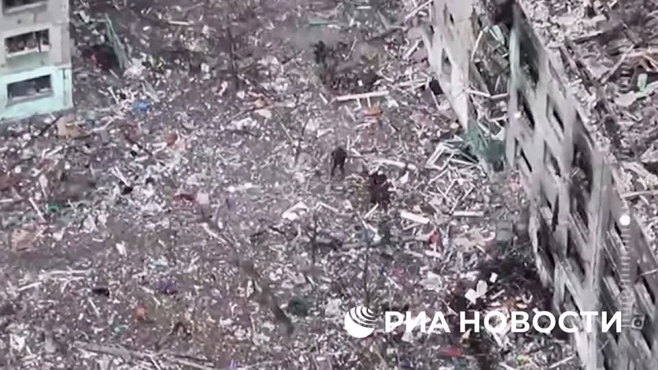 ���������� ��������� �����, ��� ������� ��� ������� � ���� � ���������