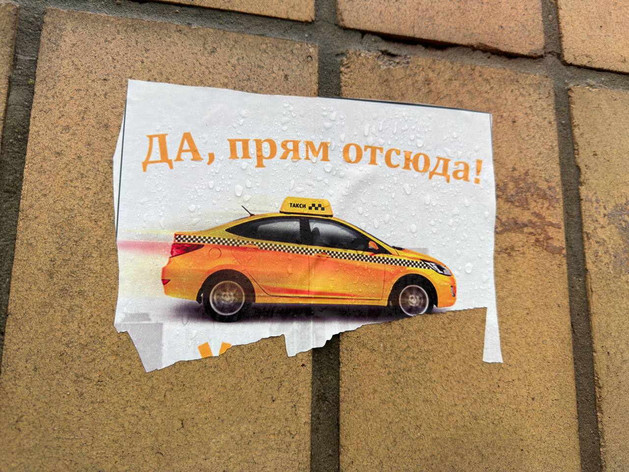 Игорь Гомольский: Увидел забавное объявление где-то в районе Селидово