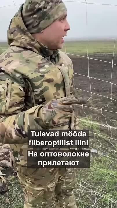 ������ �� ���������� � ������������� ������� � �������������� ��������