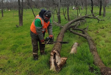 Системная работа: итоги недели по наведению порядка в Орджоникидзевском районе