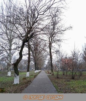 Александр Шатов: 12 декабря в Республике облачно с прояснениями, ожидается дождь, местами туман