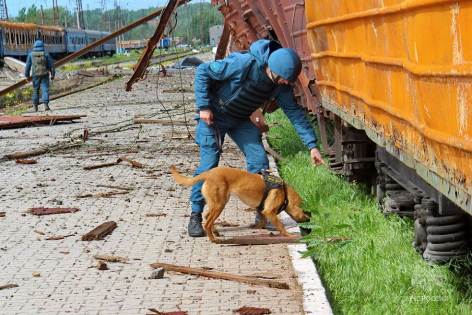 За минувшие сутки в ДНР ликвидировано 11 пожаров — ГУ МЧС России по Республике