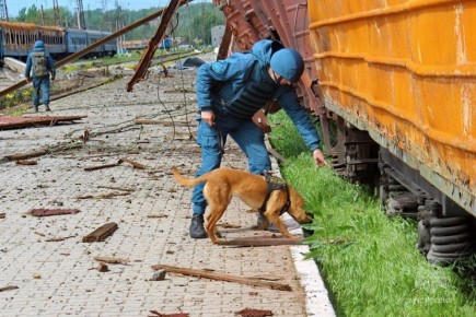 За минувшие сутки в ДНР ликвидировано 11 пожаров — ГУ МЧС России по Республике
