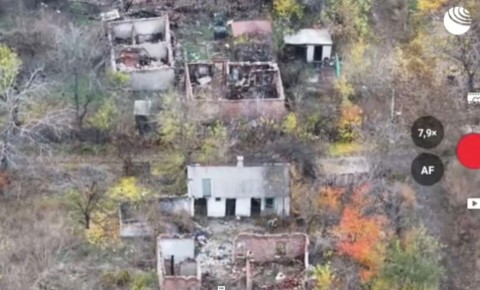 Минобороны показало сдачу в плен украинских военных в Димитрове