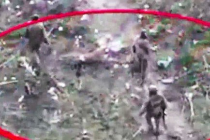 Минобороны РФ опубликовало кадры сдачи в плен бойцов ВСУ в Димитрове