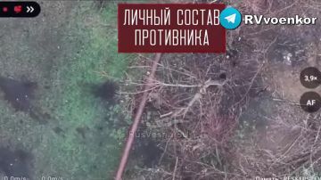 �������� �������� ��������� ��������� � ��������� � ���������������� �������