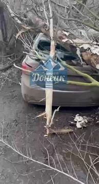 Дерево рухнуло на автомобили на ул. Крамарчука, 4