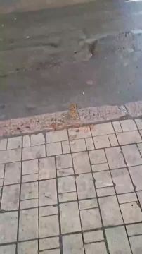 Боевики ВСУ ворвались в Донецк