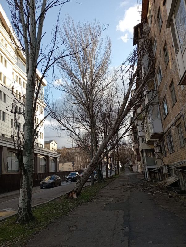 ������ ����� �� ����� �� �� ���������������, 84