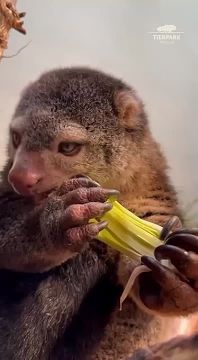 С добрым утром, Мариуполь!