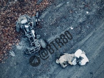 Любимая рубрика: "Попрыгал - отдохни!"