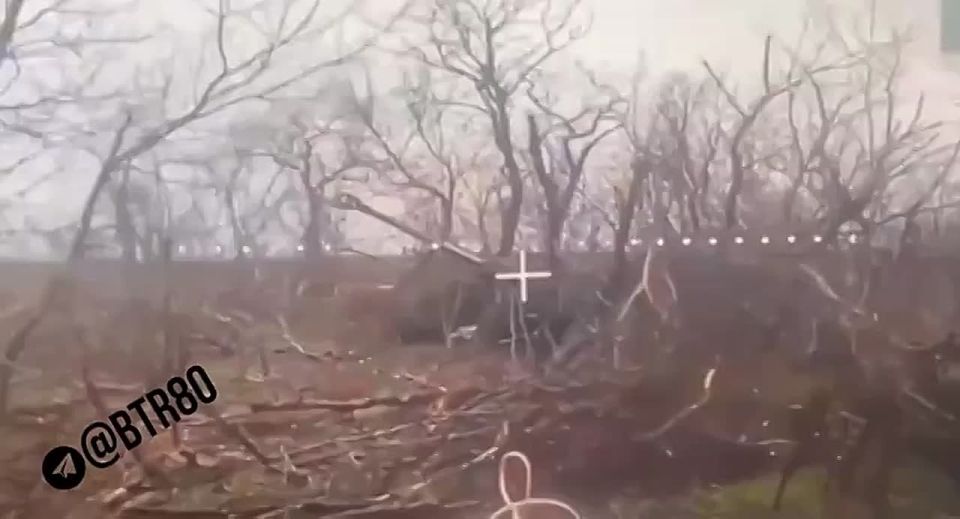 ����������� ����� ��������� � ���������������� ������� � �������� ��������